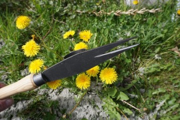 Distelsteker de wit met essen knopsteel 48 cm 2