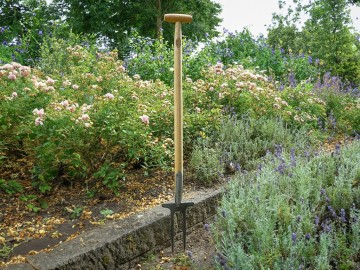 Rozenvork de wit gesmeed 2 tands met essen t steel 90 cm 2