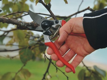 Snoeischaar felco 8 ergonomisch met gehoekte snijkop knipt tot 25 mm 1